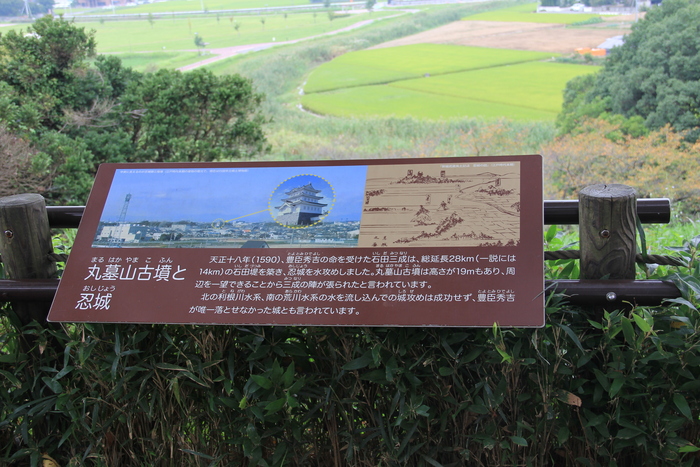 e0227139_235789.jpg