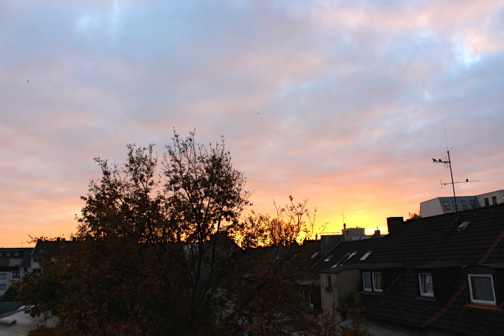 c0153740_1915635.jpg