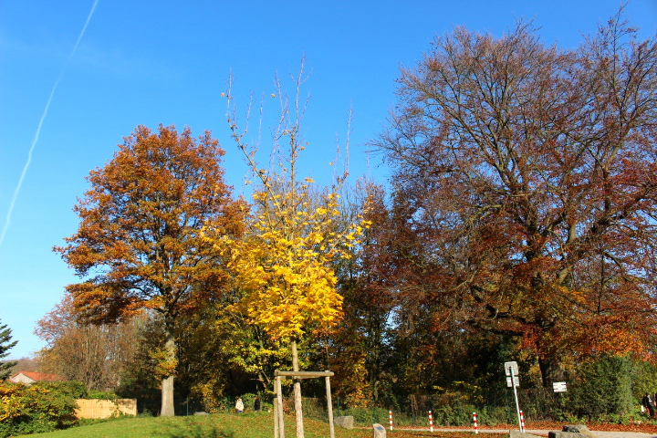 c0153740_1924190.jpg