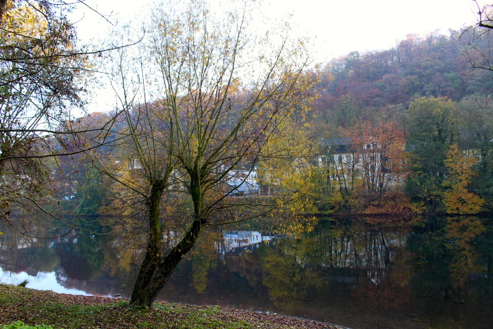 c0153740_1933822.jpg