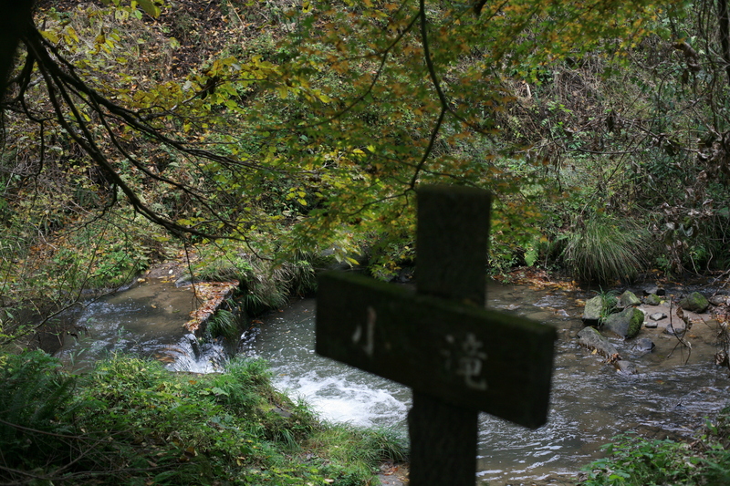 f0032042_16595344.jpg