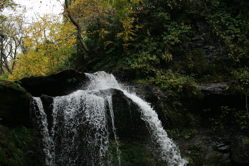 f0032042_1702437.jpg