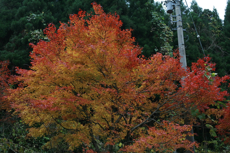 f0032042_1704784.jpg