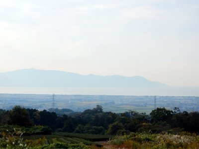 a0142343_9462735.jpg