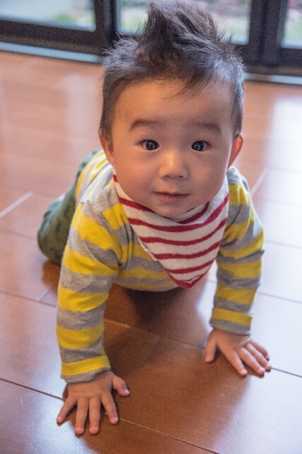f0158043_17345052.jpg