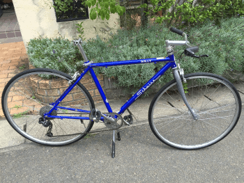 a0026445_1003358.gif