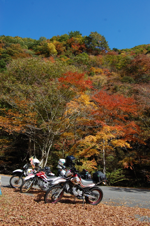 c0339546_1655918.jpg