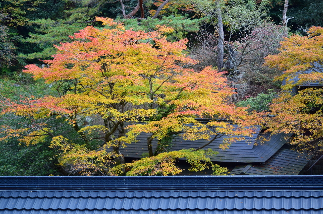 c0339546_1734774.jpg