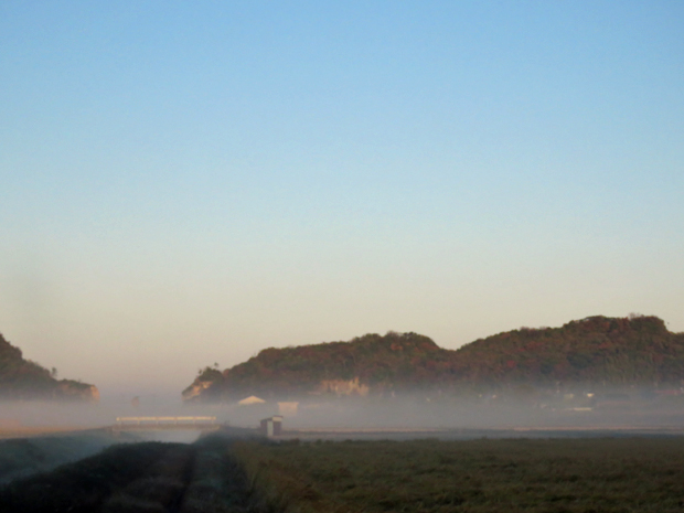 f0214649_858376.jpg