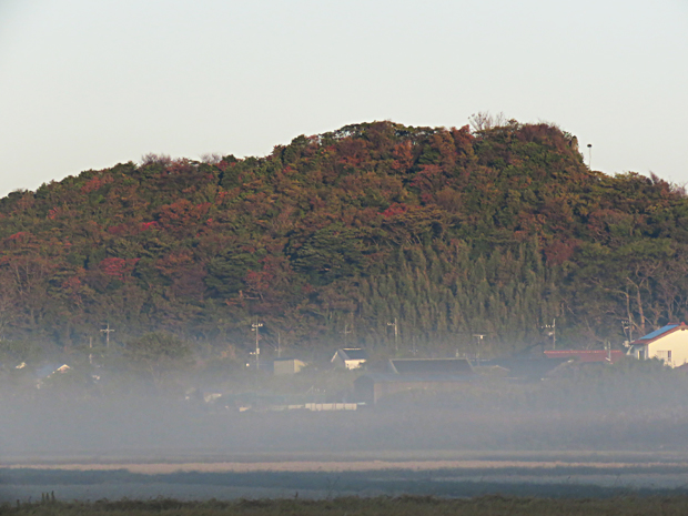 f0214649_858579.jpg