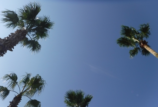 a0090451_16421956.jpg