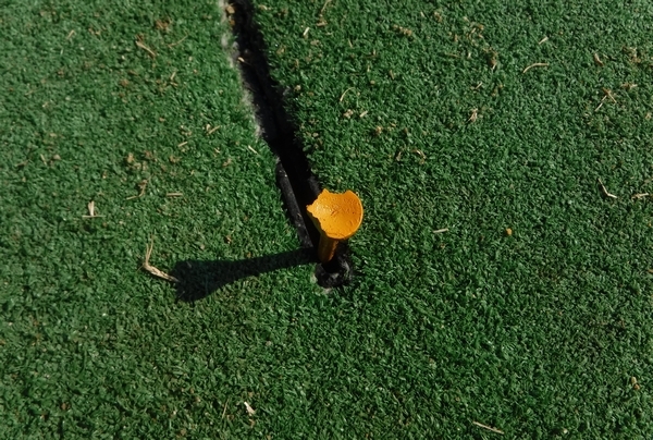 a0090451_16425994.jpg