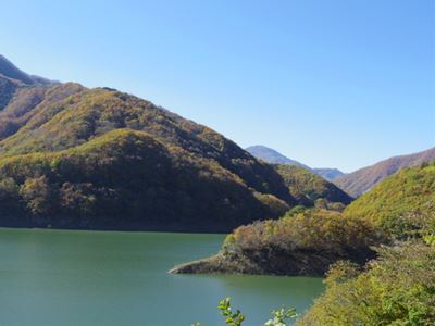 b0220251_4384099.jpg