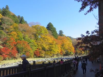b0220251_440388.jpg