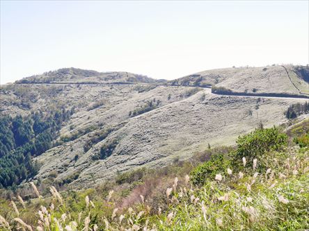 e0044657_2240171.jpg