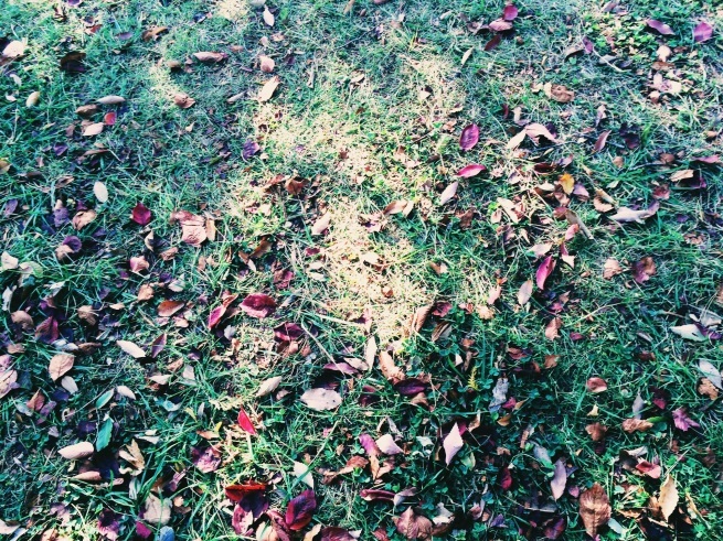 c0195362_18432355.jpg