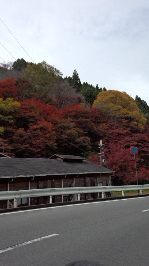 b0018469_11415126.jpg
