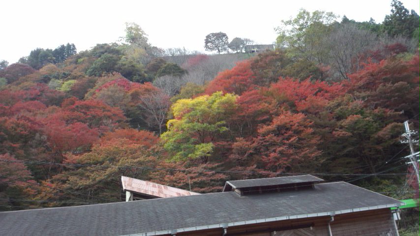 b0018469_11415136.jpg