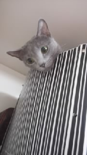 f0200871_044234.jpg