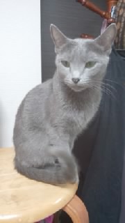 f0200871_044243.jpg
