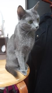 f0200871_044297.jpg