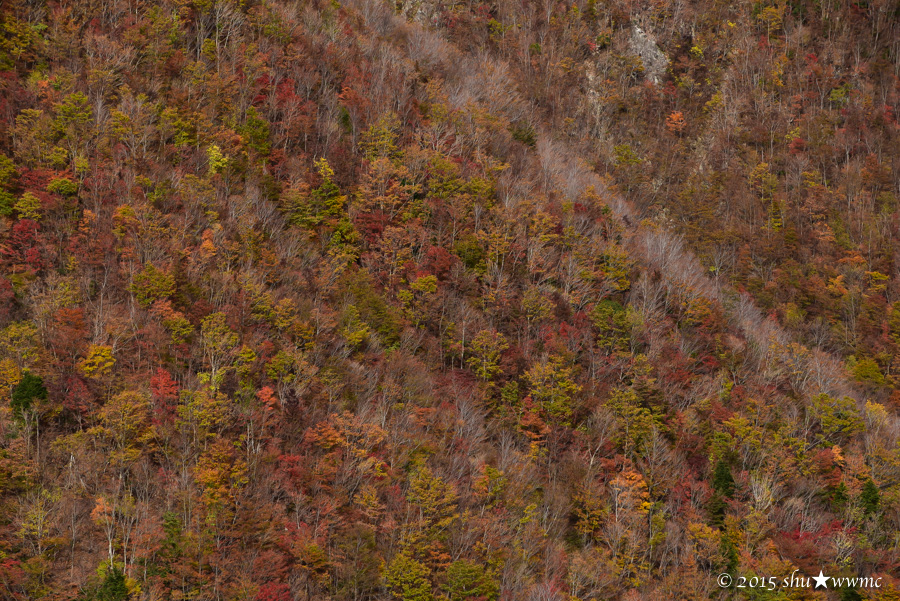 a0142976_2047080.jpg