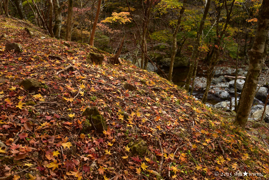 a0142976_2103986.jpg