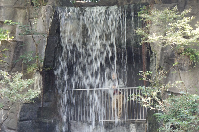 c0163878_9332415.jpg