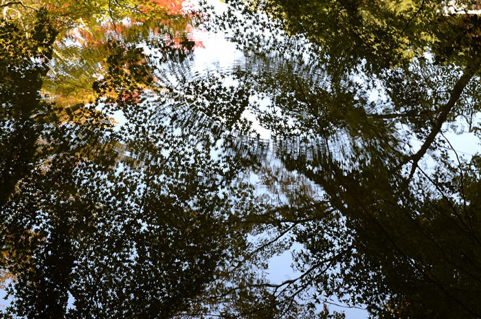 f0108478_20504099.jpg
