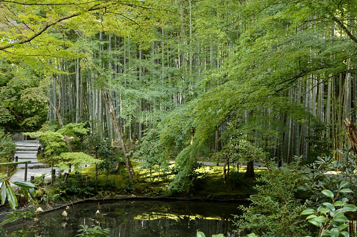 f0108478_2058840.jpg