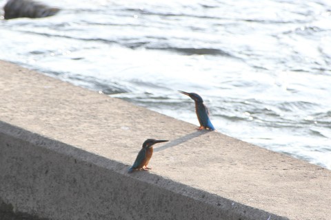 e0197884_22151632.jpg
