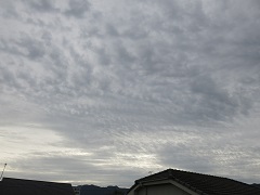 e0130185_18293655.jpg
