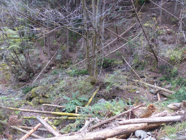 f0357487_2534523.jpg