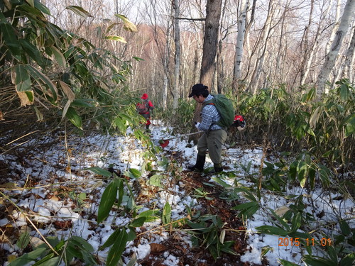 f0297492_10592048.jpg