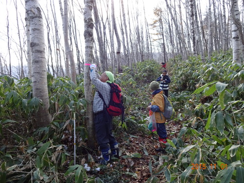 f0297492_116091.jpg