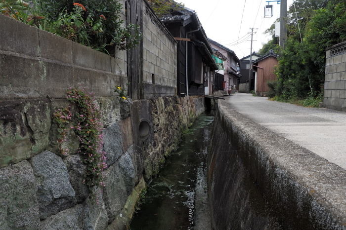 a0277496_11335767.jpg