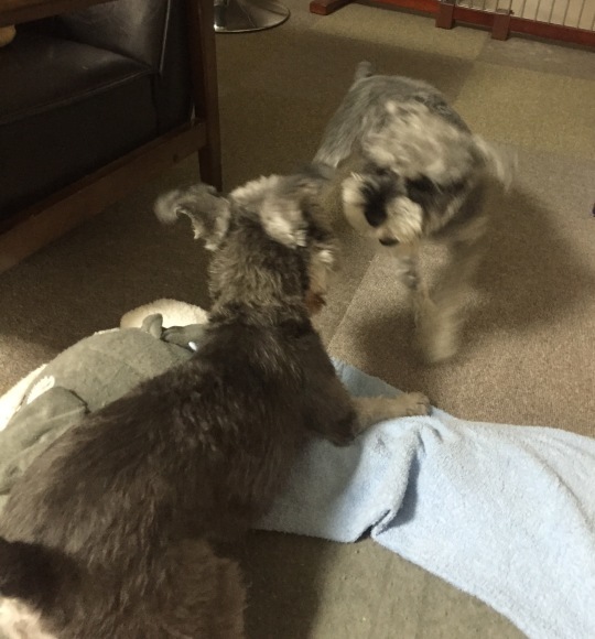 b0188998_17522547.jpeg