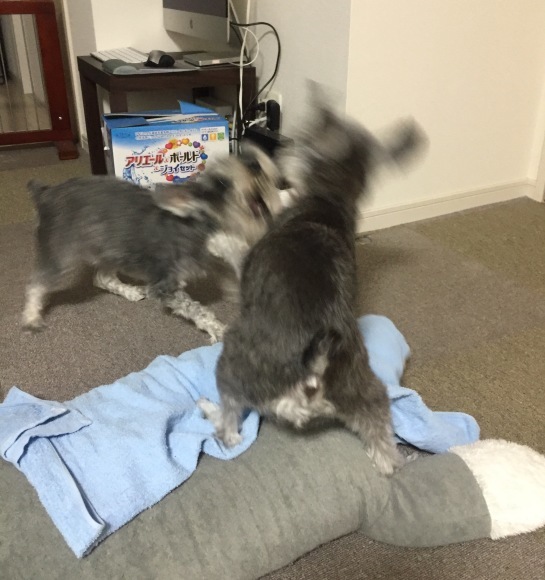 b0188998_17525589.jpeg