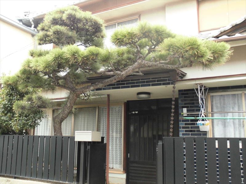 c0108198_1726513.jpg
