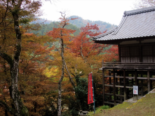 a0164011_21241649.jpg