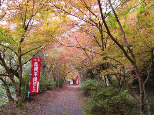 a0164011_21243485.jpg