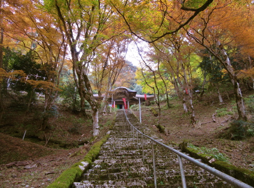 a0164011_2124766.jpg