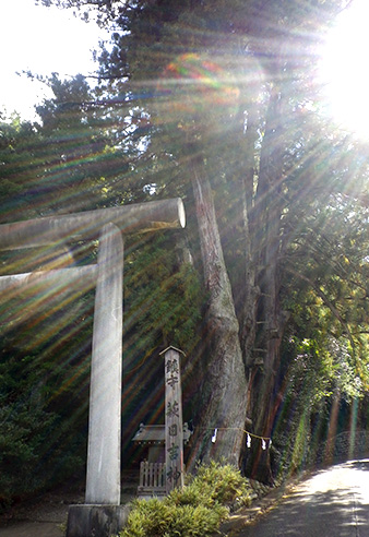 f0143412_1853243.jpg