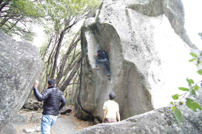 f0195813_21550074.jpg