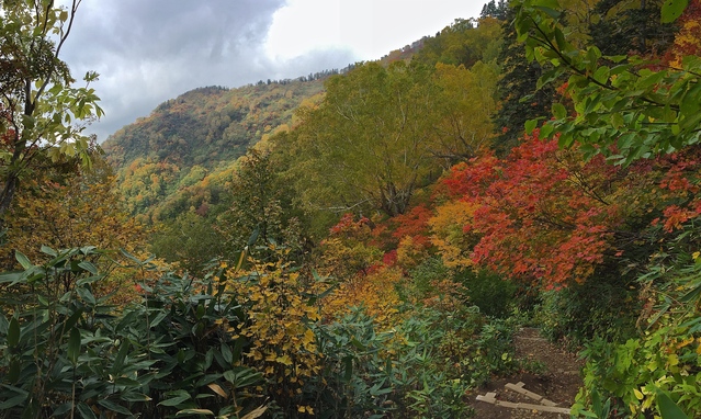 f0225414_1115479.jpg
