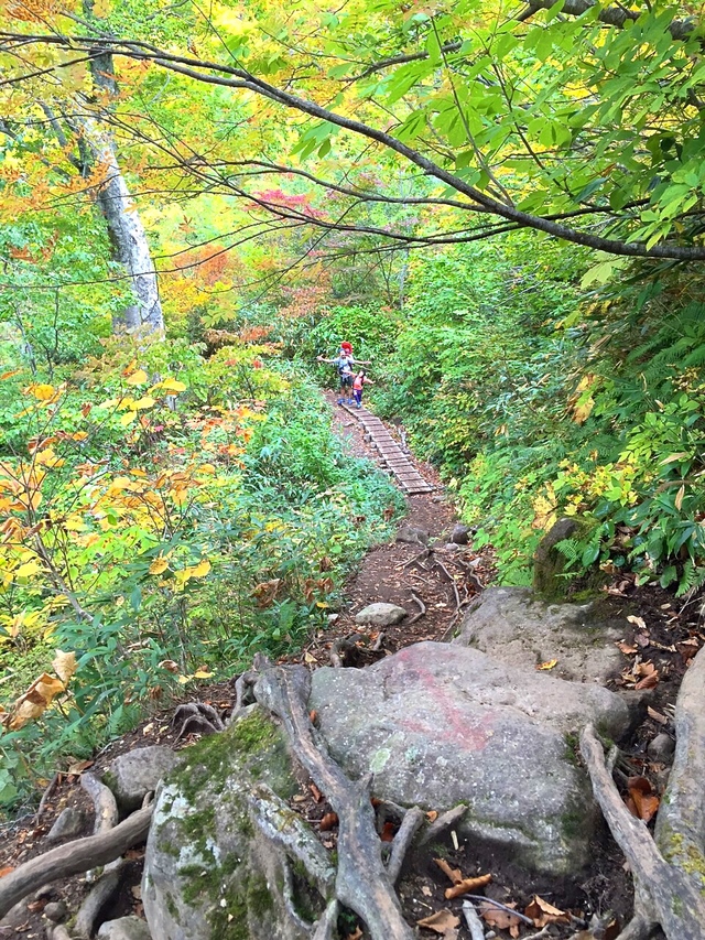 f0225414_11161430.jpg