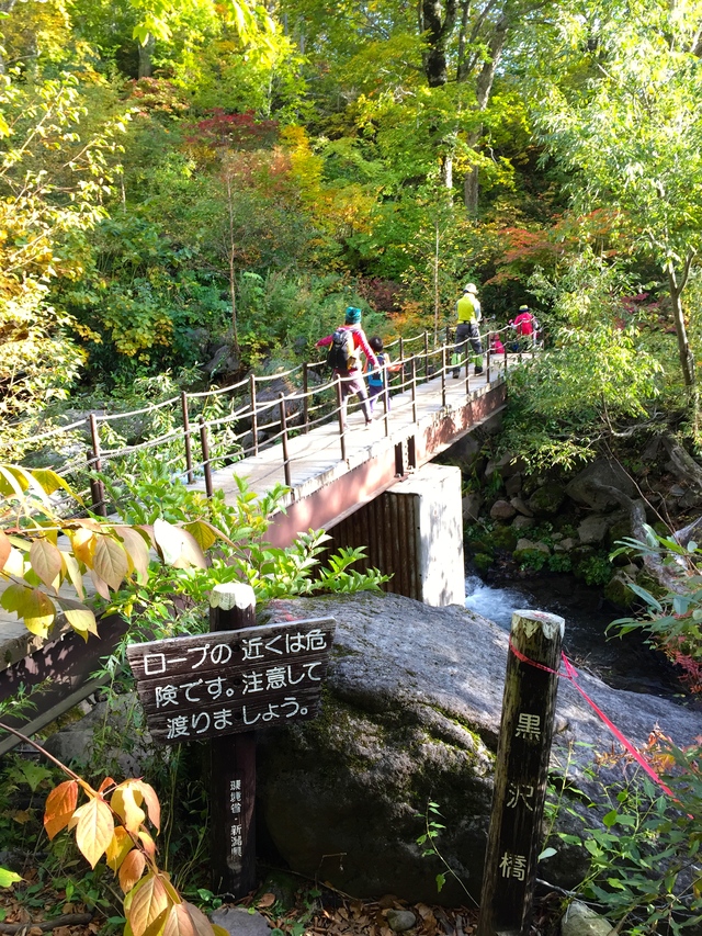 f0225414_11391530.jpg
