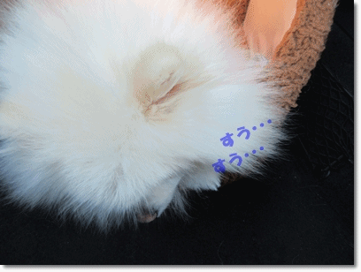 b0167519_2056562.gif