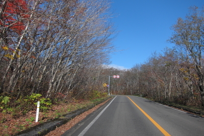 e0133025_18190428.jpg