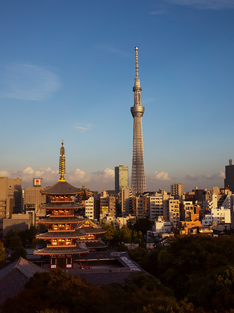 b0085526_15141757.jpg